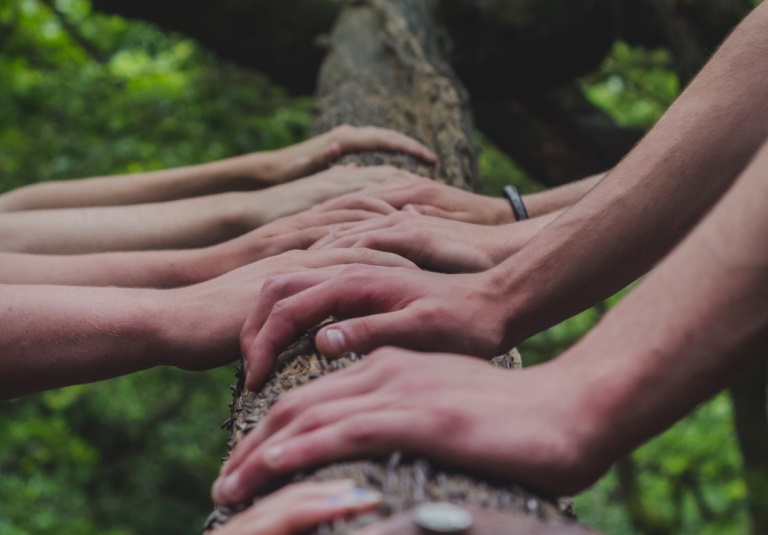 Multiple hands on a wooden log.